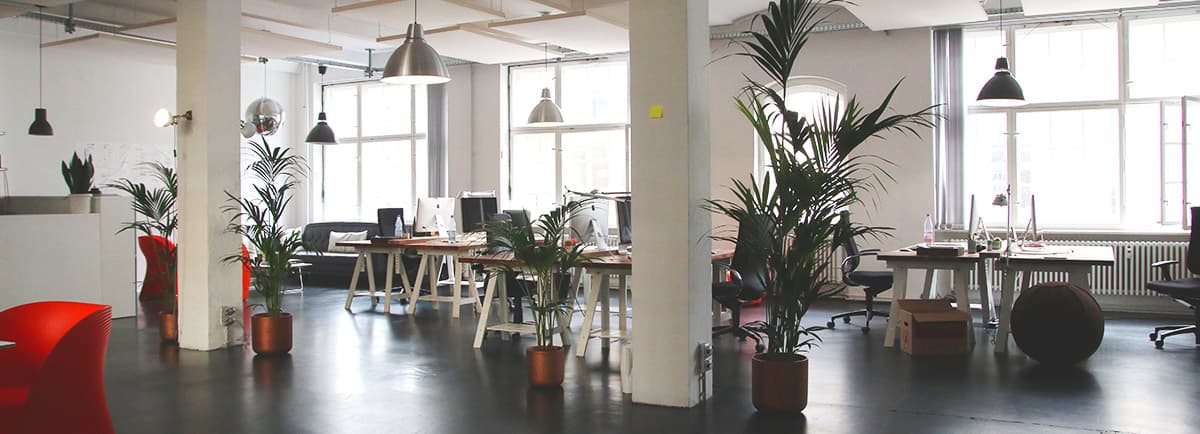 Bright, well-maintained office space